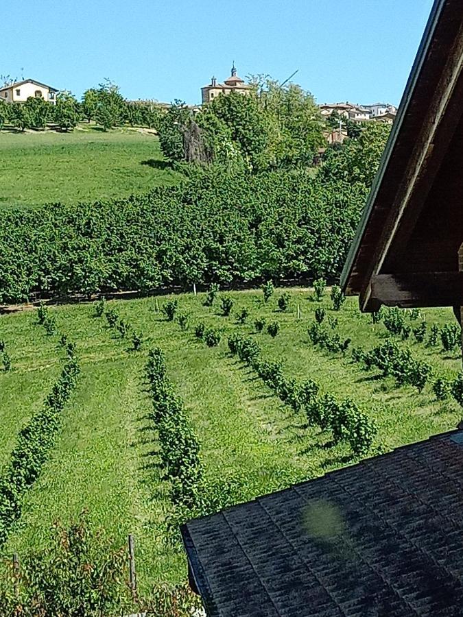 Vite Dipinte 1 Bilocale In Langa Lejlighed Novello Eksteriør billede
